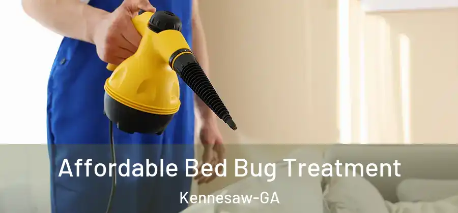 Affordable Bed Bug Treatment Kennesaw-GA
