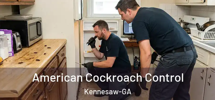 American Cockroach Control Kennesaw-GA