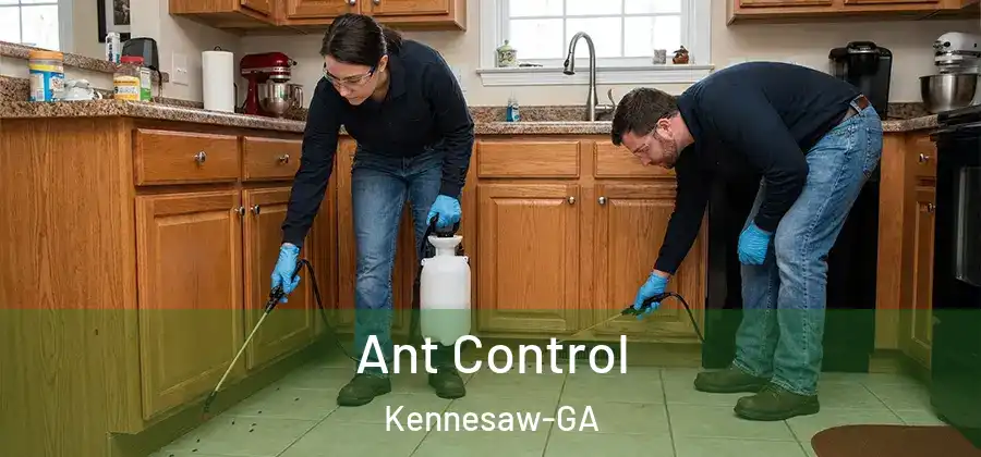 Ant Control Kennesaw-GA