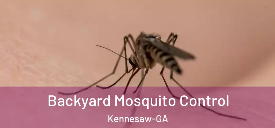Backyard Mosquito Control Kennesaw-GA