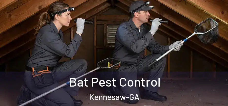 Bat Pest Control Kennesaw-GA