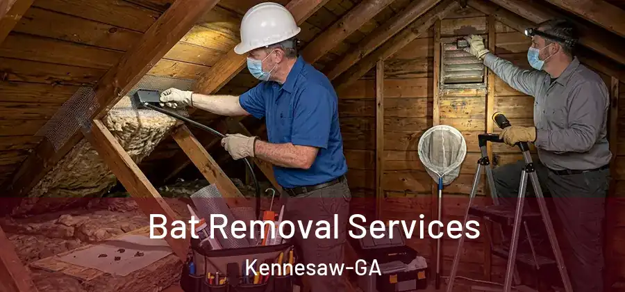 Bat Removal Services Kennesaw-GA
