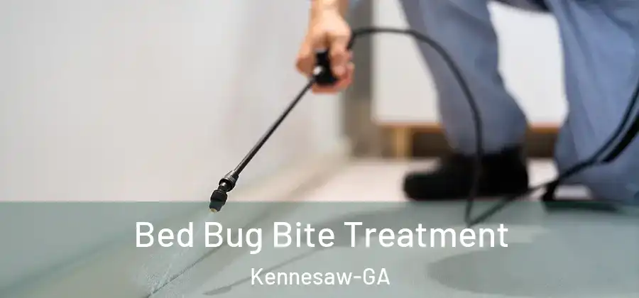 Bed Bug Bite Treatment Kennesaw-GA