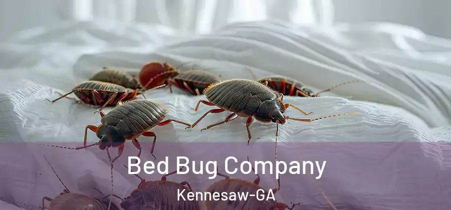Bed Bug Company Kennesaw-GA