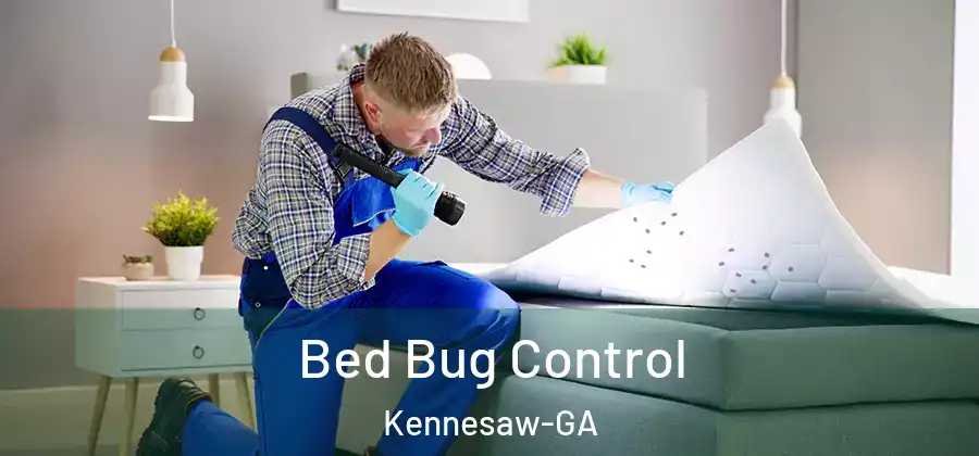 Bed Bug Control Kennesaw-GA