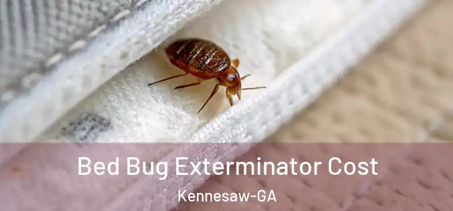 Bed Bug Exterminator Cost Kennesaw-GA