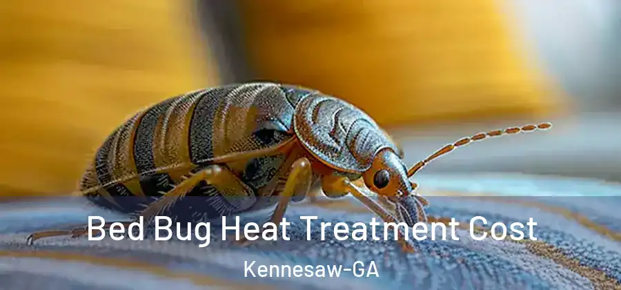 Bed Bug Heat Treatment Cost Kennesaw-GA