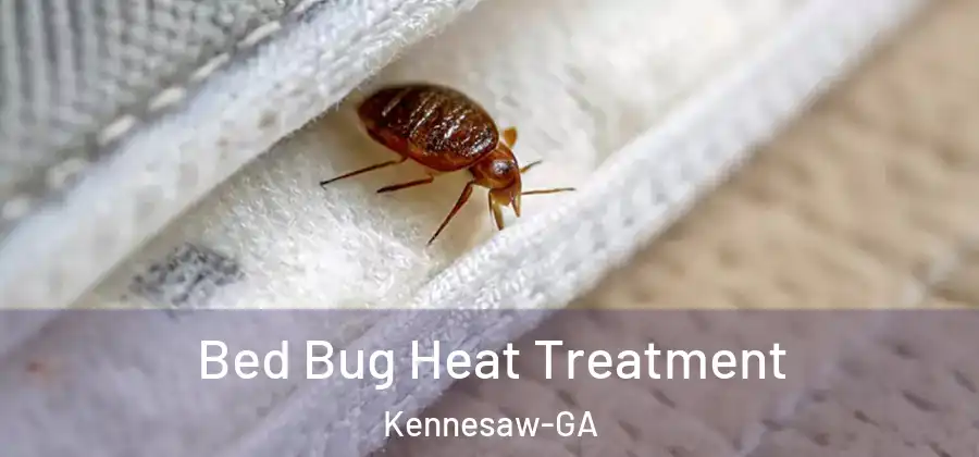 Bed Bug Heat Treatment Kennesaw-GA