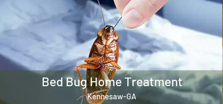 Bed Bug Home Treatment Kennesaw-GA