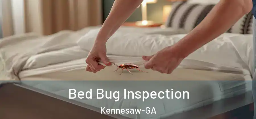 Bed Bug Inspection Kennesaw-GA