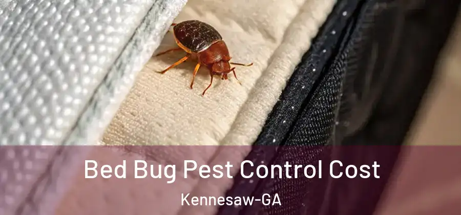 Bed Bug Pest Control Cost Kennesaw-GA