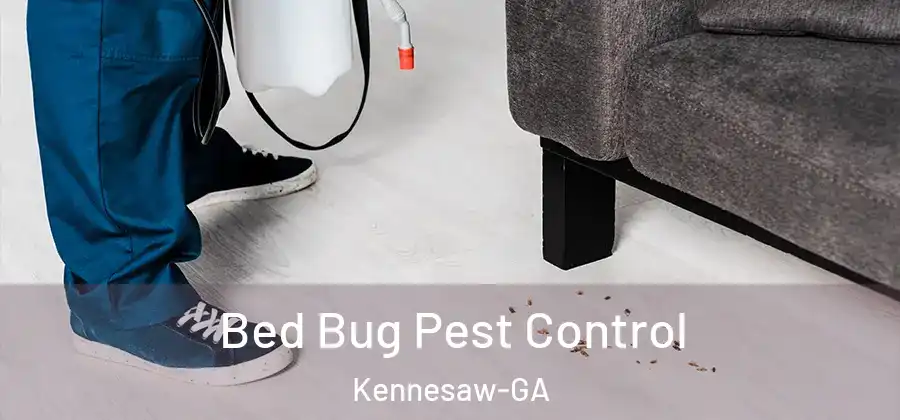 Bed Bug Pest Control Kennesaw-GA