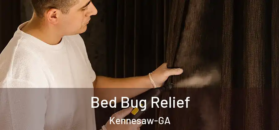 Bed Bug Relief Kennesaw-GA