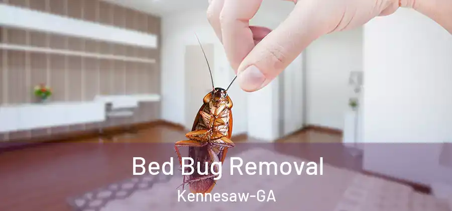Bed Bug Removal Kennesaw-GA