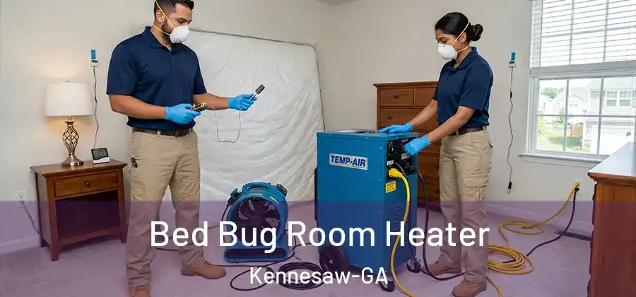 Bed Bug Room Heater Kennesaw-GA