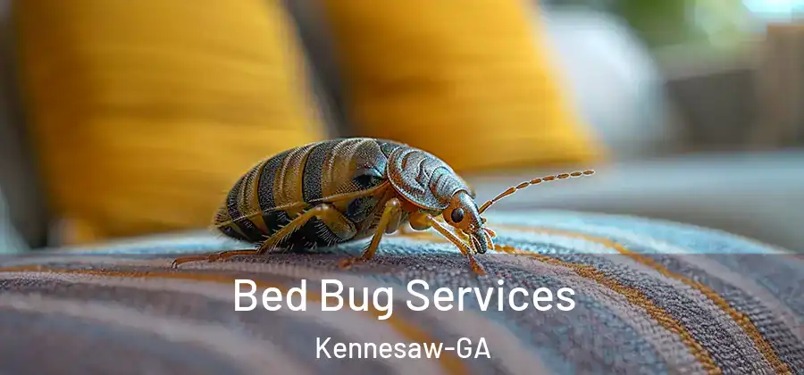 Bed Bug Services Kennesaw-GA