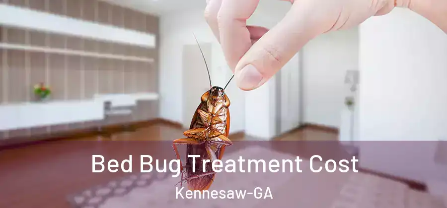 Bed Bug Treatment Cost Kennesaw-GA