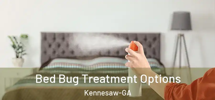 Bed Bug Treatment Options Kennesaw-GA