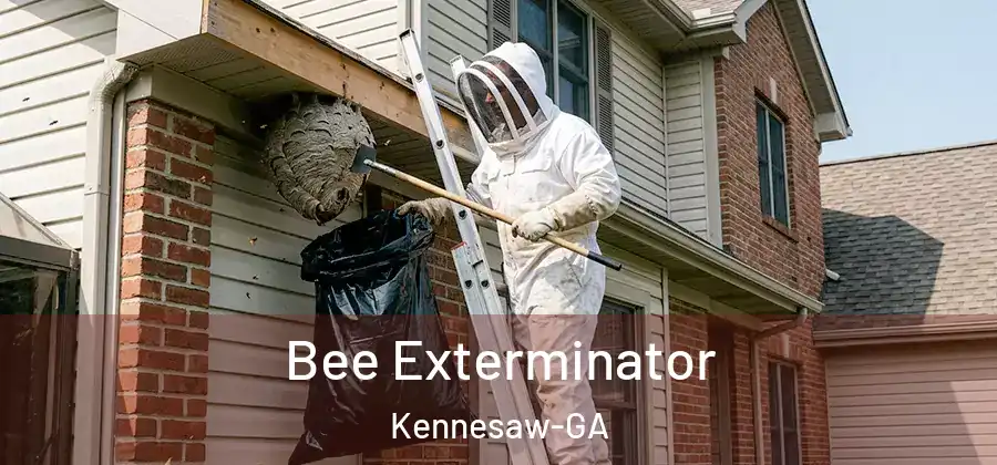 Bee Exterminator Kennesaw-GA