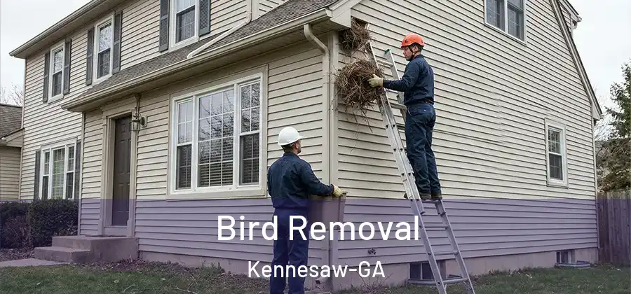 Bird Removal Kennesaw-GA