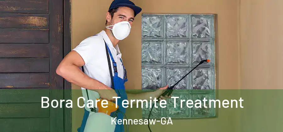 Bora Care Termite Treatment Kennesaw-GA