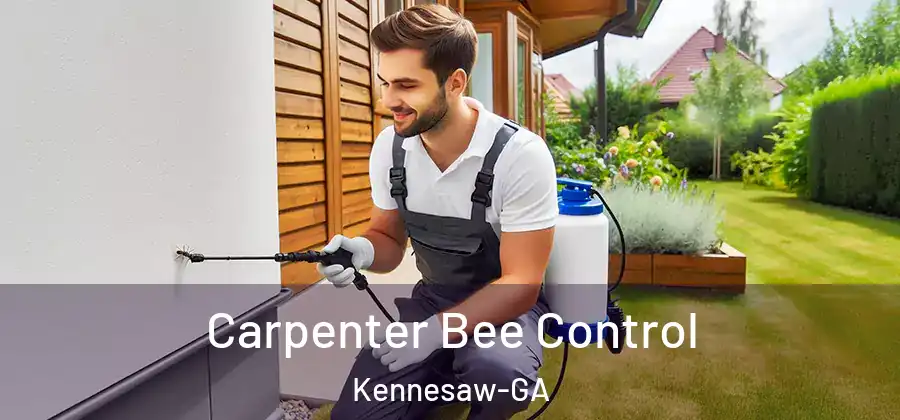 Carpenter Bee Control Kennesaw-GA