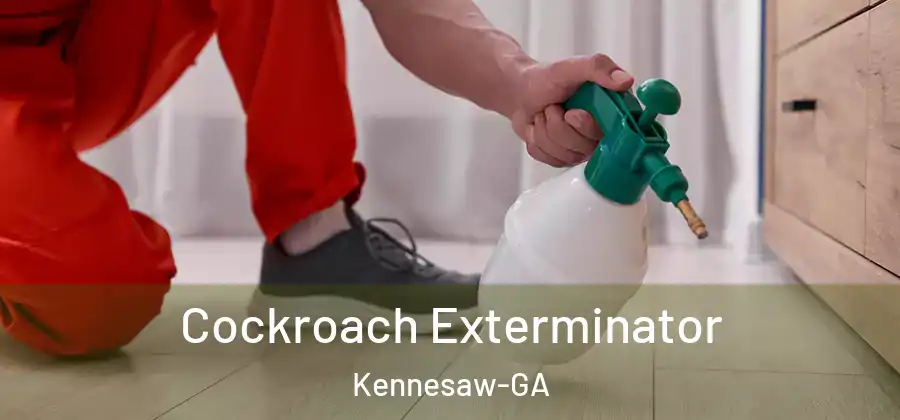 Cockroach Exterminator Kennesaw-GA