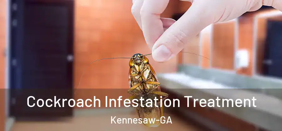  Cockroach Infestation Treatment Kennesaw-GA