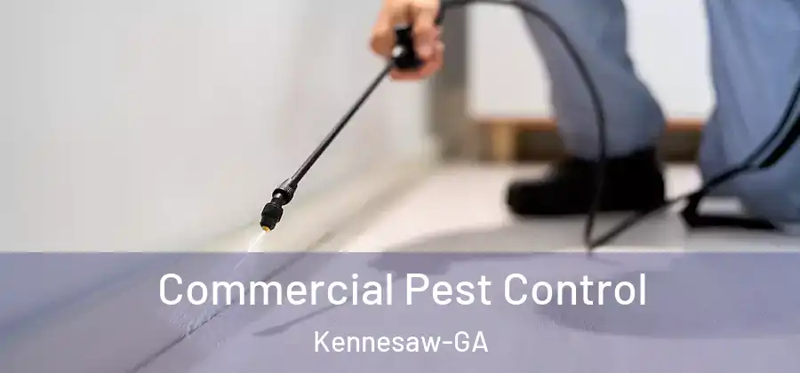 Commercial Pest Control Kennesaw-GA