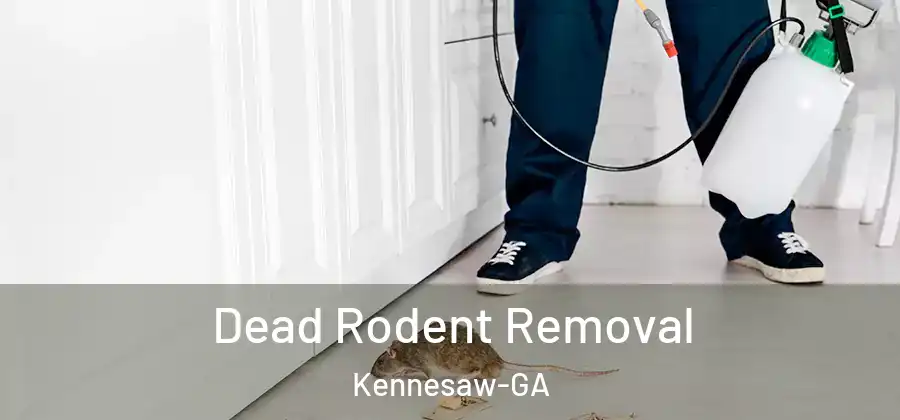 Dead Rodent Removal Kennesaw-GA