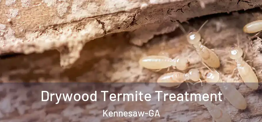 Drywood Termite Treatment Kennesaw-GA