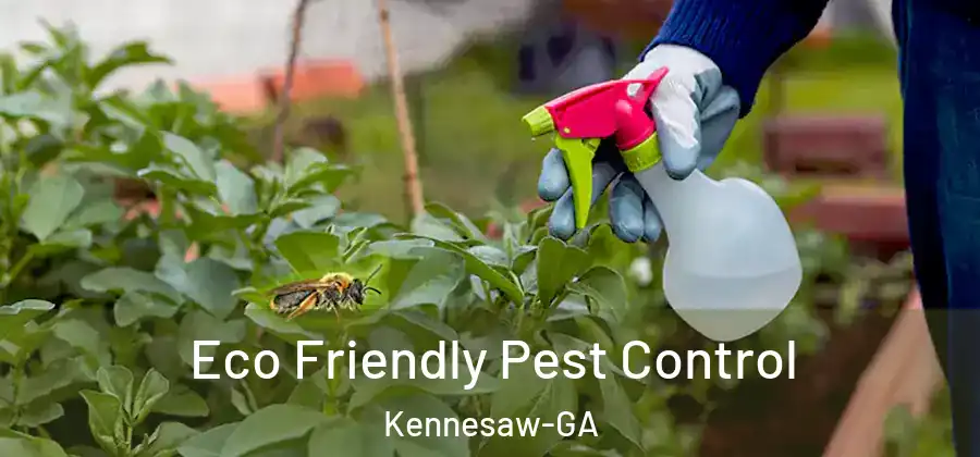 Eco Friendly Pest Control Kennesaw-GA