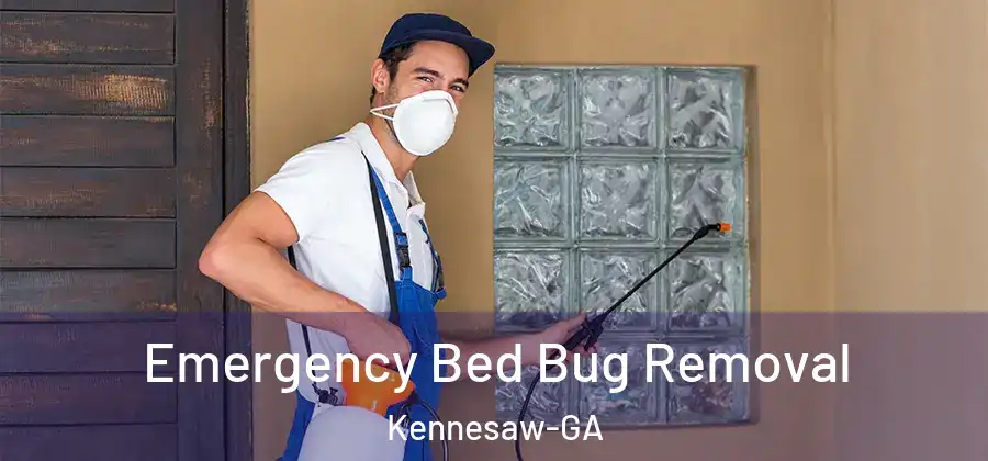 Emergency Bed Bug Removal Kennesaw-GA