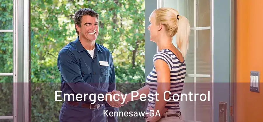 Emergency Pest Control Kennesaw-GA