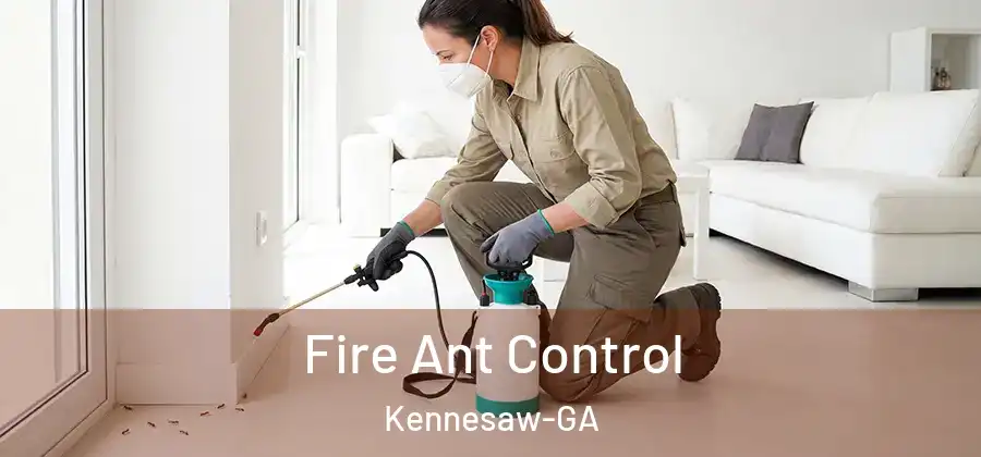 Fire Ant Control Kennesaw-GA