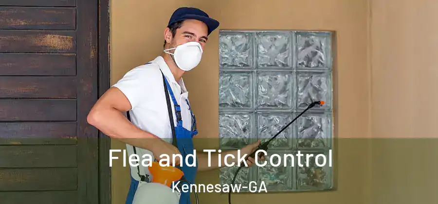 Flea and Tick Control Kennesaw-GA