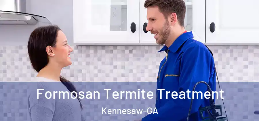 Formosan Termite Treatment Kennesaw-GA