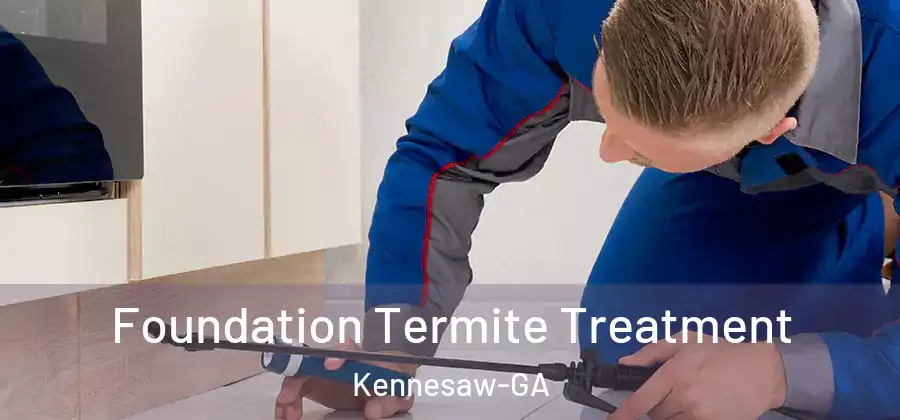 Foundation Termite Treatment Kennesaw-GA