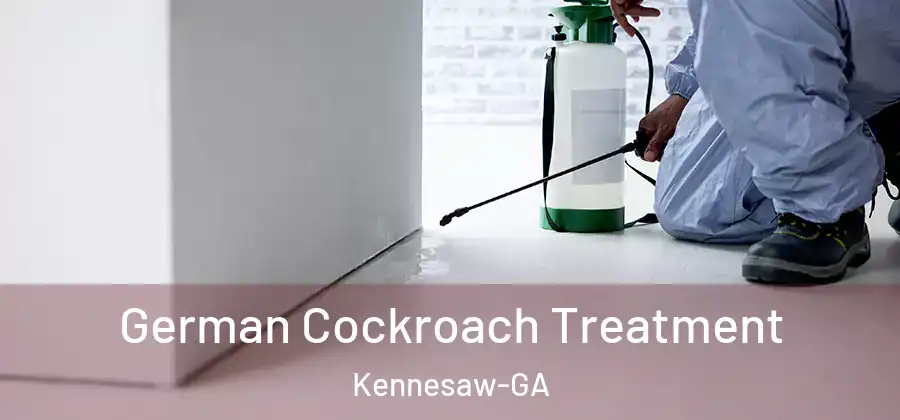 German Cockroach Treatment Kennesaw-GA