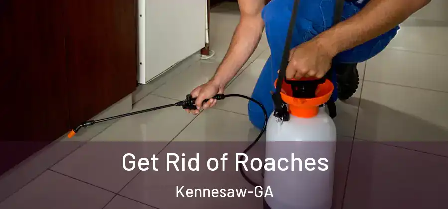 Get Rid of Roaches Kennesaw-GA