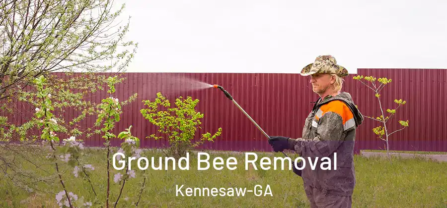 Ground Bee Removal Kennesaw-GA