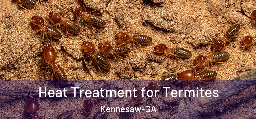 Heat Treatment for Termites Kennesaw-GA