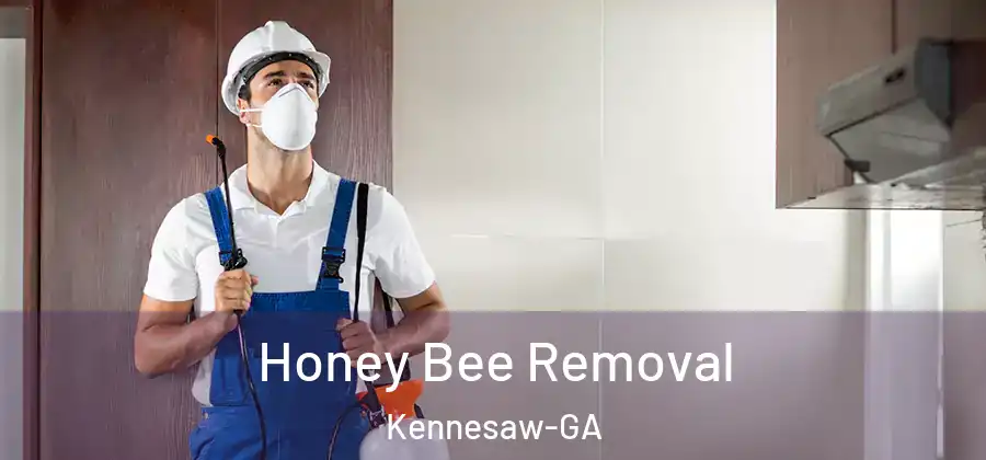 Honey Bee Removal Kennesaw-GA