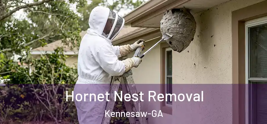 Hornet Nest Removal Kennesaw-GA