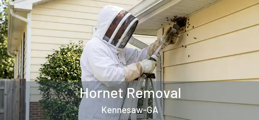 Hornet Removal Kennesaw-GA
