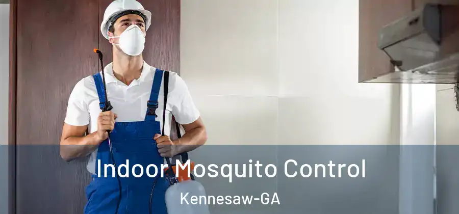 Indoor Mosquito Control Kennesaw-GA