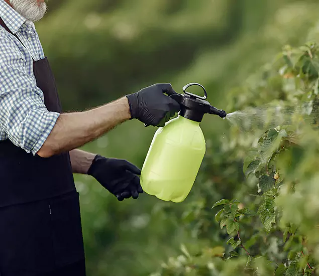 Your Proven Mosquito Treatment Company in Kennesaw, GA