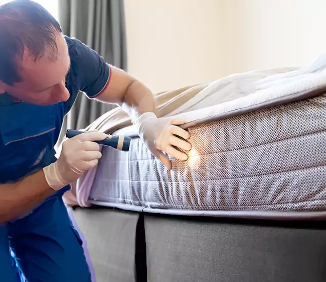 Trusted Bed Bug Cost Experts in Kennesaw, GA