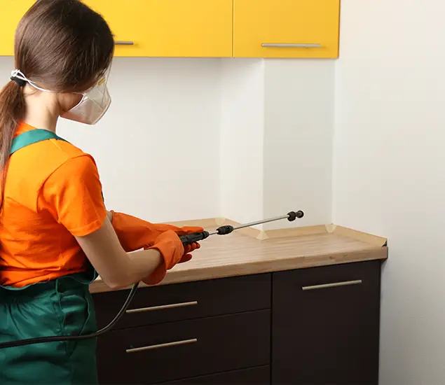 Trusted Bed Bug Pest Control Specialist in Kennesaw, GA