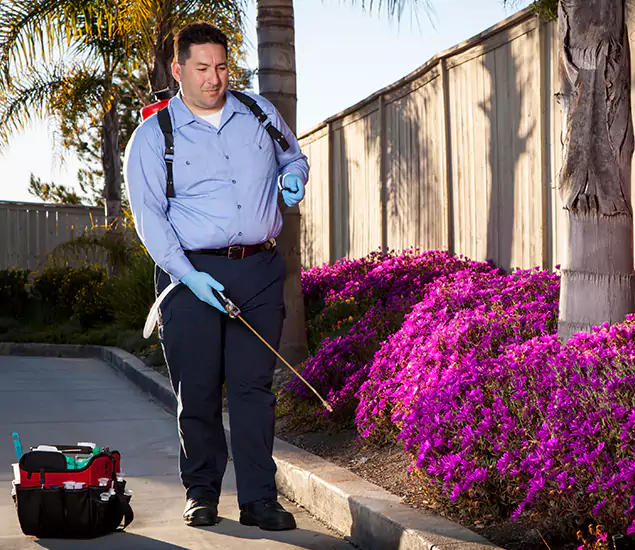 About Our Eco Safe Pest Control Experts in Kennesaw, GA